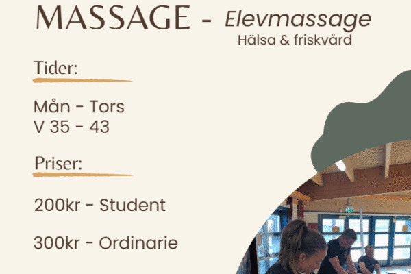 Massageaffisch